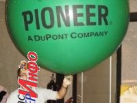 1,8mPioneer 1,8mPioneer