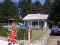 Odmor na Dunavu u borovoj šumi, povoljno