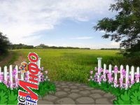 Odličan plac pod kosmajem Odličan plac pod kosmajem