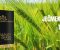 Barley Grass Premium – Ječmena trava - Slika1 Barley Grass Premium – Ječmena trava - Slika1