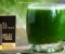 Barley Grass Premium – Ječmena trava - Slika2 Barley Grass Premium – Ječmena trava - Slika2