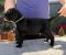 Crni Cane Corso štenci - rezervacije u toku - Slika4