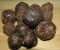 Propolis rastvor - Slika1