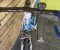 Scatto King 2.0 drumski bicikl - Slika1 Scatto King 2.0 drumski bicikl - Slika1