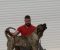 Presa Canario ženka - Slika3 Presa Canario ženka - Slika3